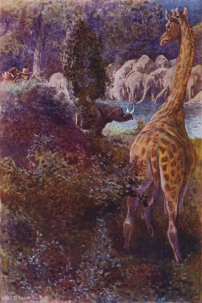 Illustration pour The Gorilla Hunters par R M Ballantyne - William Henry Charles Groome