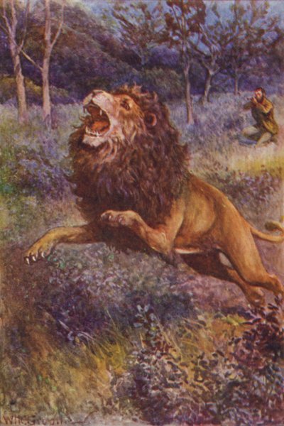 Illustration pour Les Chasseurs de Gorilles de R. M. Ballantyne - William Henry Charles Groome
