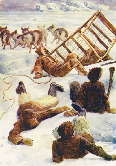 Illustration pour Le Monde de Glace ou la Croisière Baleinière du Dauphin - William Henry Charles Groome