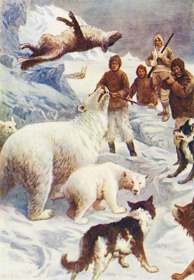 Illustration pour Le Monde de la Glace ou la Croisière Baleinière du Dauphin - William Henry Charles Groome
