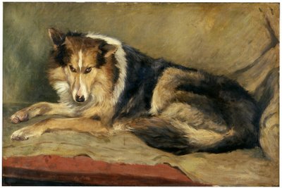 Chien de berger écossais - William Henry Charlton