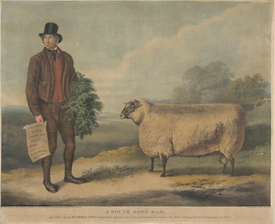 Un bélier South Down; Âgé de 3 ans, élevé par M. Thomas Crisp, Gedgrave Hall, Suffolk, pour lequel un prix de 30 souverains a été décerné lors de la réunion annuelle de la R.A.S. à Cambridge, le 15 juillet 1840 - William Henry Davis
