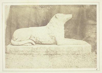Effigie de Maida, la chienne préférée de Sir W. Scott, à côté de la porte du hall d