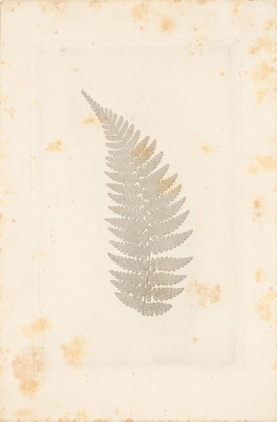[Distance] - William Henry Fox Talbot