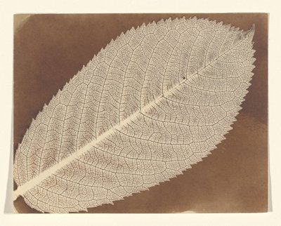  - William Henry Fox Talbot