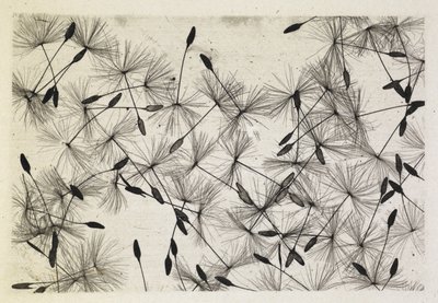 Photo de Talbot 24 1730 - William Henry Fox Talbot