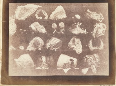 La Vitrine de la modiste - William Henry Fox Talbot