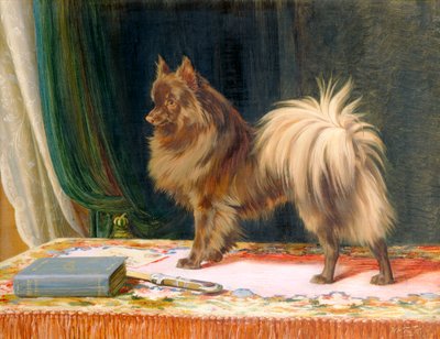 Portrait de Prairie Prince, 1897 - William Henry Hamilton Trood