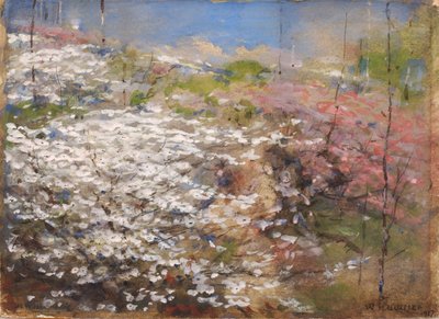 Champ de fleurs - William Henry Holmes