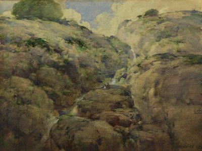 Gorge de montagne, Colorado - William Henry Holmes