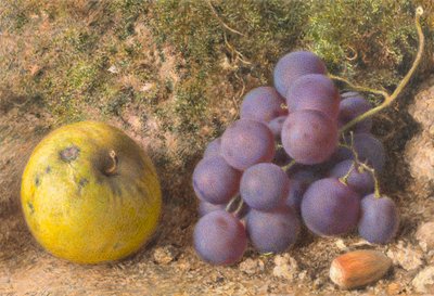 Pomme, raisins et noisette - William Henry Hunt