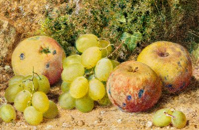 Pommes et raisins blancs, vers 1860 - William Henry Hunt