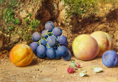 Raisins noirs, pêches, abricots et framboises, vers 1860 - William Henry Hunt