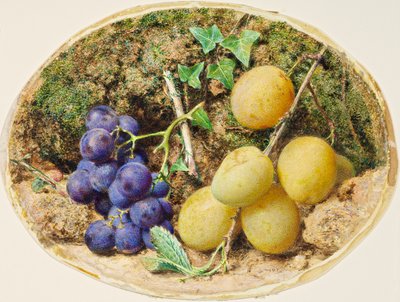 Prunes Golden Drop et raisins noirs, vers 1860 - William Henry Hunt