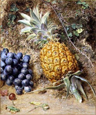 Raisins et ananas - William Henry Hunt