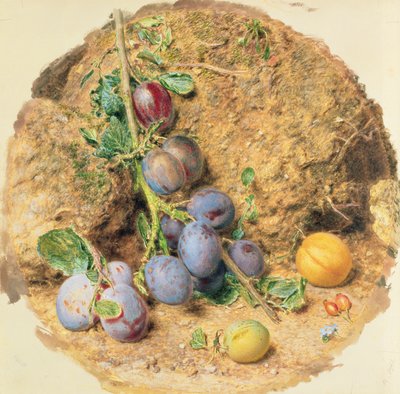 Prunes - William Henry Hunt