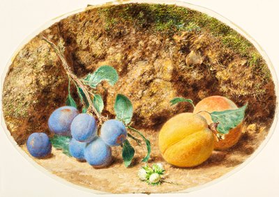 Prunes violettes, abricots et noisettes - William Henry Hunt