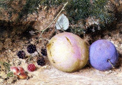 Cynorrhodons, mûres et prunes - William Henry Hunt