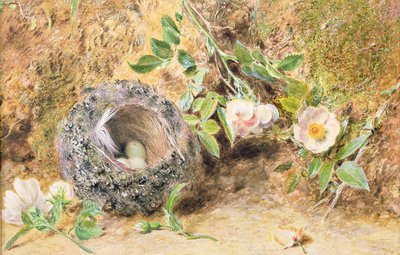 Nature Morte avec Nid de Pinson - William Henry Hunt