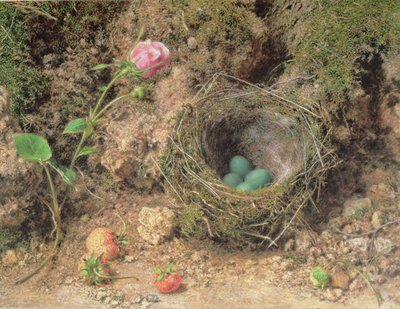 Nature morte avec nid d