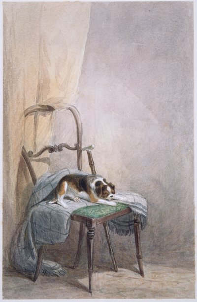 Étude d