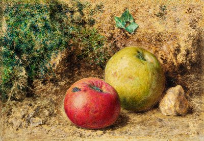 Le Contraste - Pommes rouges et vertes, c.1860 - William Henry Hunt