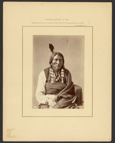 [Charge sur le Hauk - (Brulé Dakota)] - William Henry Jackson