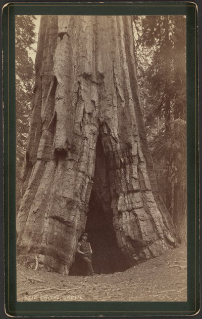 Cabane Smiths - William Henry Jackson