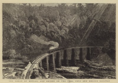 La gorge de Metlac et le pont sur le chemin de fer Vera Cruz et Mexico - William Henry James Boot