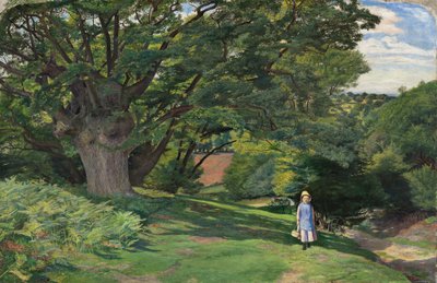 Hayes Common - William Henry Millais