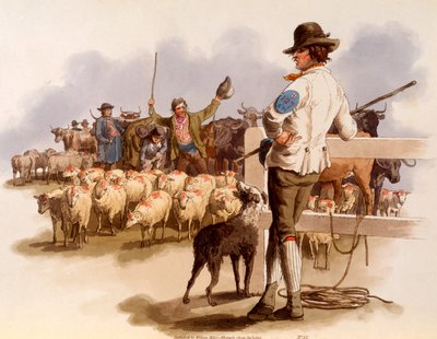 Smithfield Drover, de 