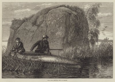 Chasse au canard sauvage, ouest de l