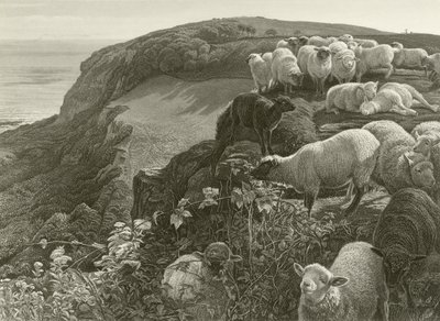 Sur la colline (gravure) - William Holman Hunt