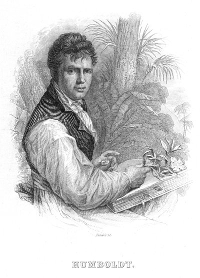 Alexander von Humboldt, naturaliste allemand, vers 1830 - William Home Lizars