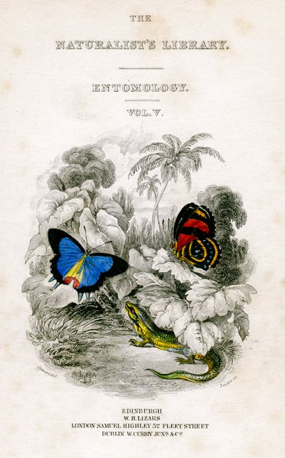 La bibliothèque des naturalistes, entomologie, vol V, papillons, vers 1833-1865 - William Home Lizars