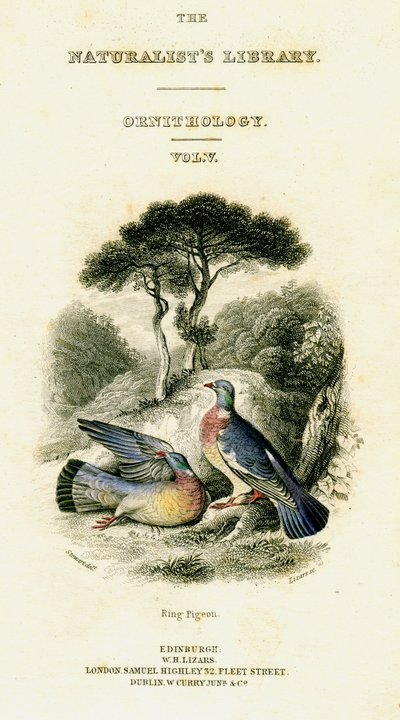 La bibliothèque des naturalistes, ornithologie Vol V, Pigeon ramier - William Home Lizars