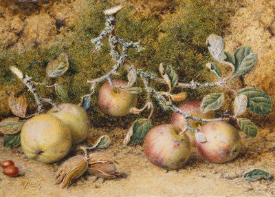 Nature morte avec pommes, noisettes et cynorrhodons - William Hough