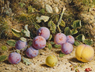 Nature morte avec prunes, une pêche et des cynorrhodons - William Hough