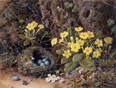 Nature morte avec un nid d