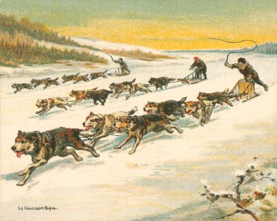 Courses historiques et modernes, courses de traîneaux à chiens canadiens - William Hounsom Byles