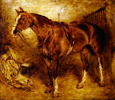 Un cheval dans l