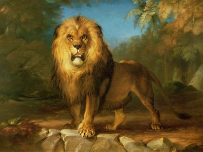 Un lion, 1840 - William Huggins