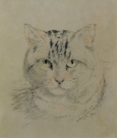 Chat tigré, 1874 - William Huggins