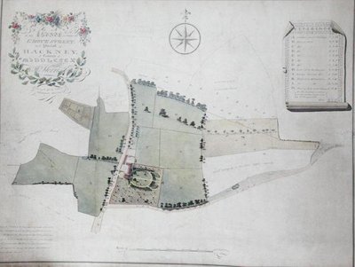 Plan d
