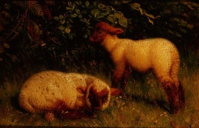 Agneaux - William J. Webbe or Webb