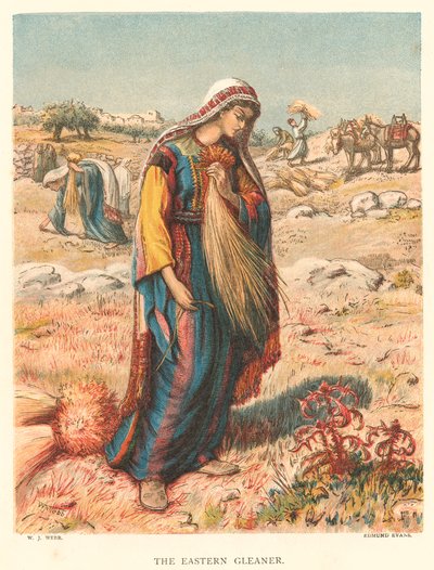 The Eastern Gleaner (gravure en couleur) - William J. Webbe or Webb