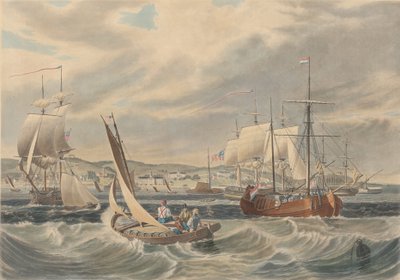 Vue de la quarantaine de New York, Staten Island - William James Bennett