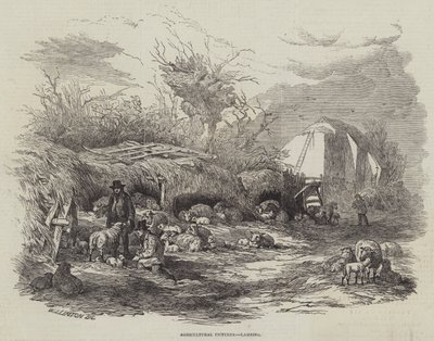 Images agricoles, agnelage - William James Linton