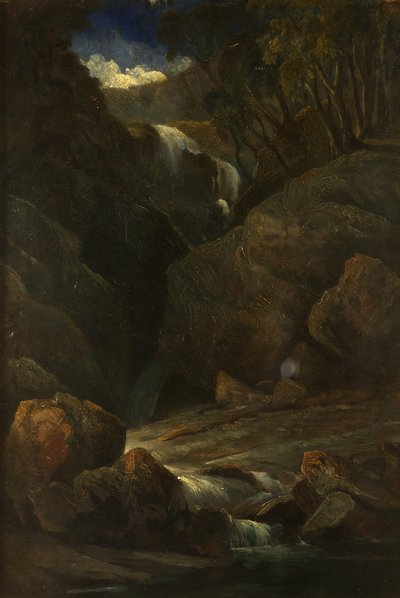 Une cascade - William James Muller