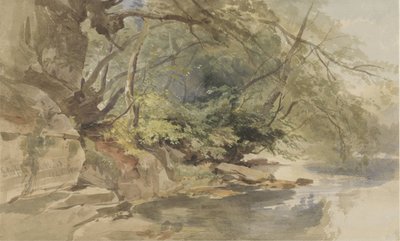 Vue dans Stapleton Wood, près de Bristol - William James Muller